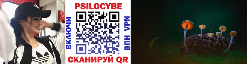 mega сайт  Кирс  Галлюциногенные грибы MAGIC MUSHROOMS  сколько стоит 